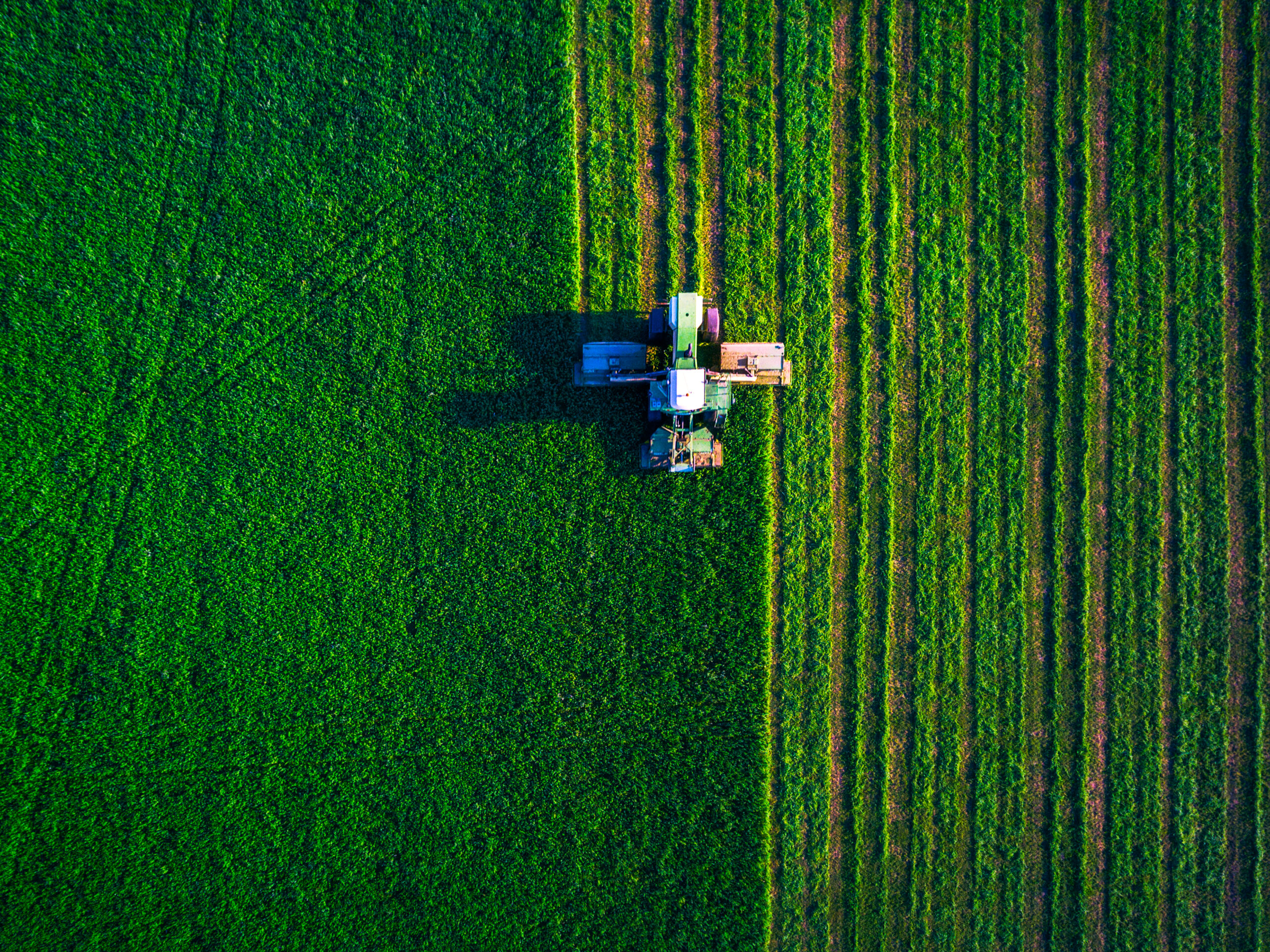 tractor mowing field - aerial view