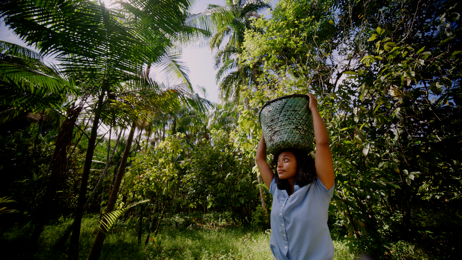 A woman carries a basket on her head through a forest