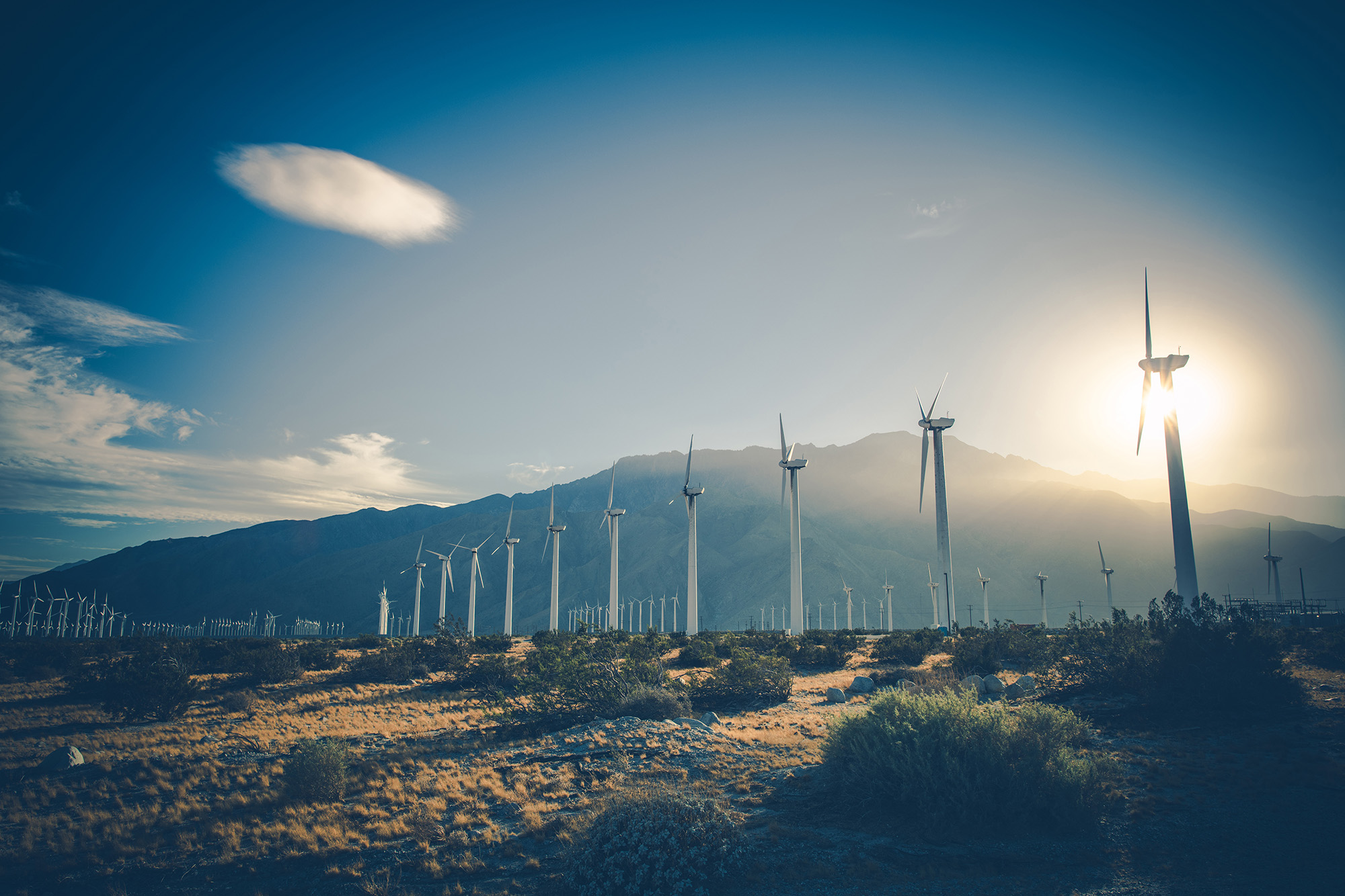 Windfarms