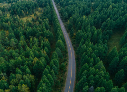 Aerial drone view of trail in colorful autumn forest