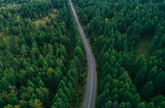 Aerial drone view of trail in colorful autumn forest