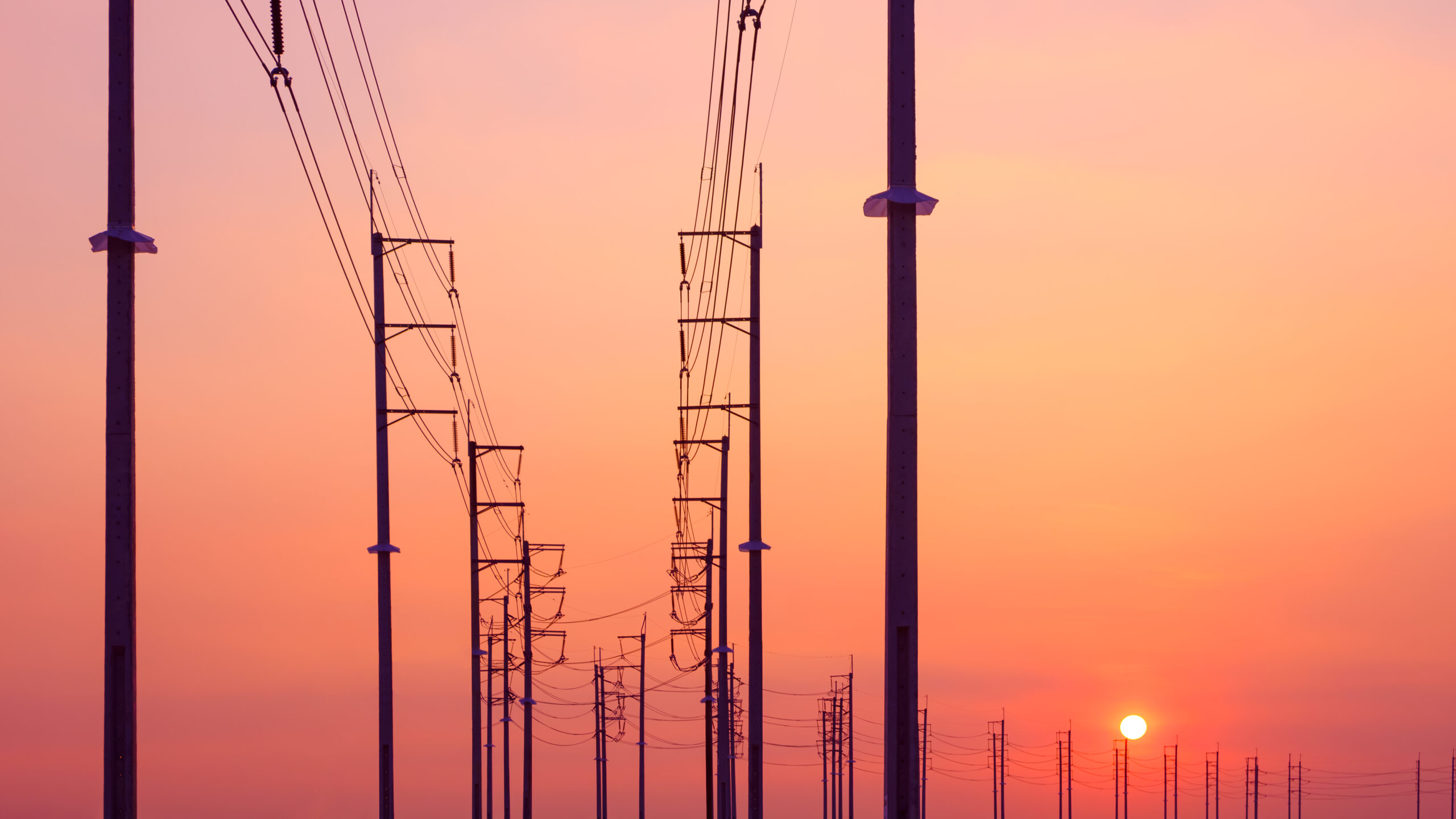 Electricity poles